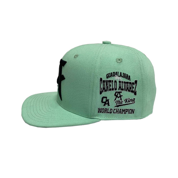 Electric Jab Snapback